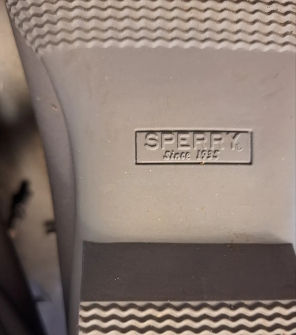 Sperry Top Sider Saltwater Boot
